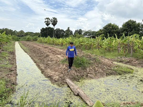 ภาพประกอบที่ 1