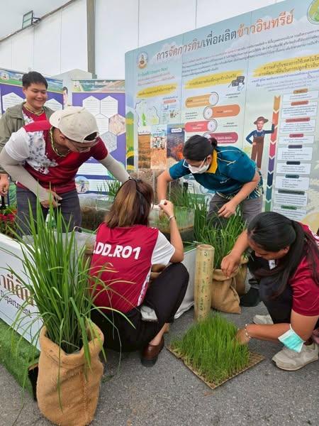 ภาพประกอบที่ 0