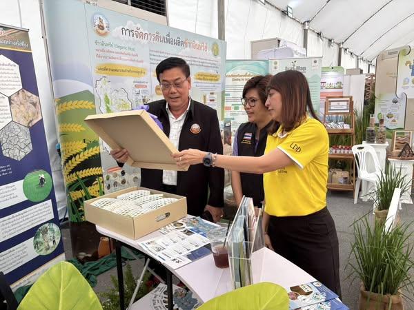 ภาพประกอบที่ 1