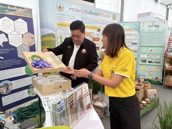 ภาพประกอบที่ 2