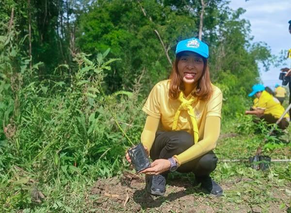 ภาพประกอบที่ 1