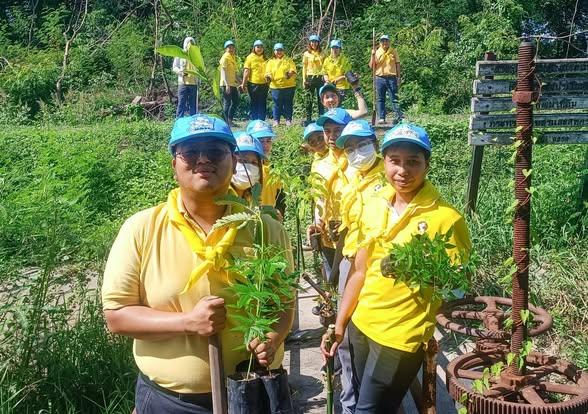 ภาพประกอบที่ 2