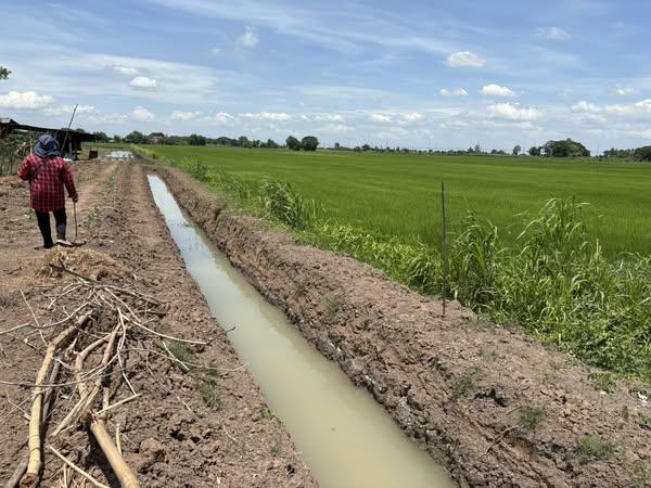 ภาพประกอบที่ 2