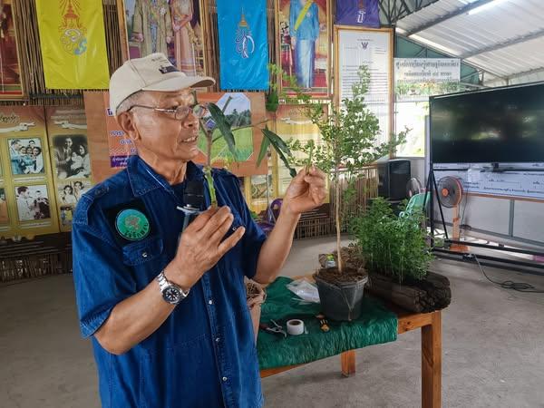 ภาพประกอบที่ 1