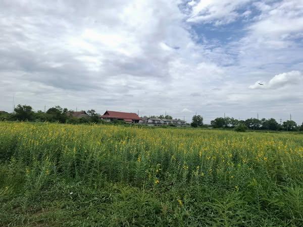 ภาพประกอบที่ 0