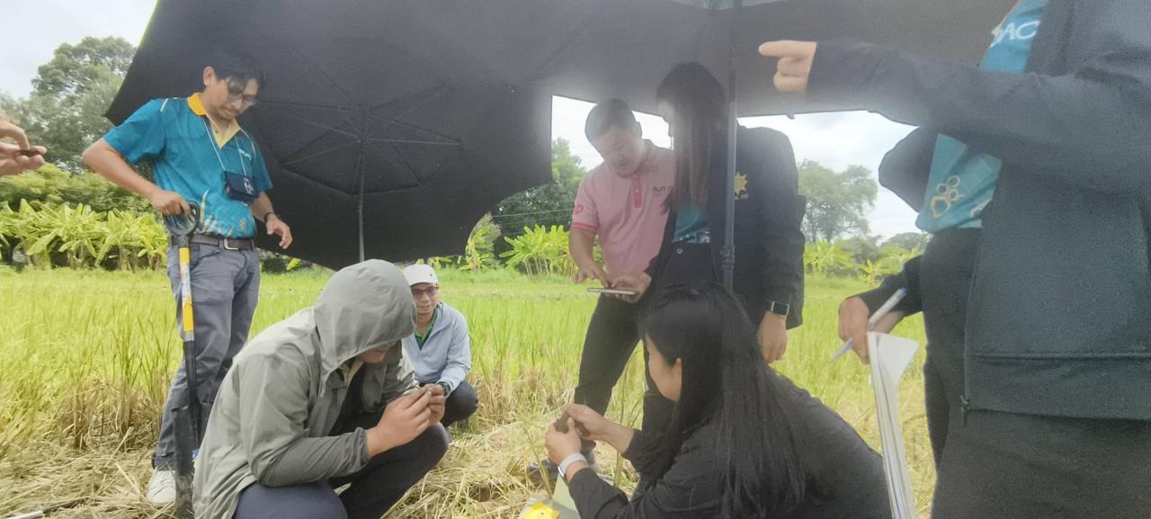 ภาพประกอบที่ 1