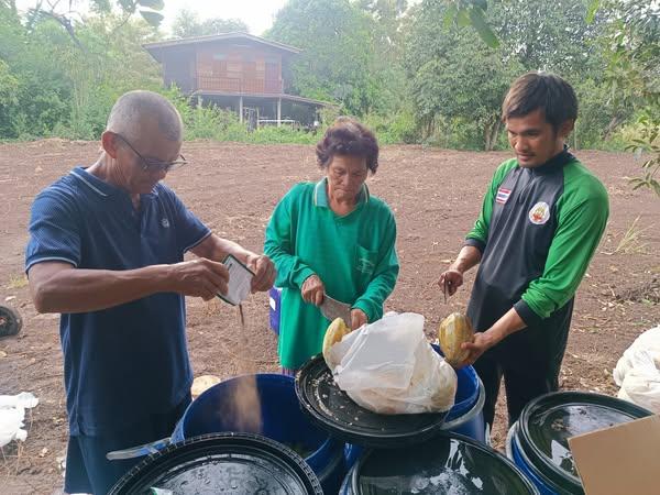 ภาพประกอบที่ 2