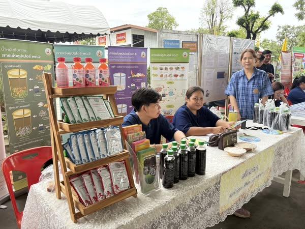 ภาพประกอบที่ 2