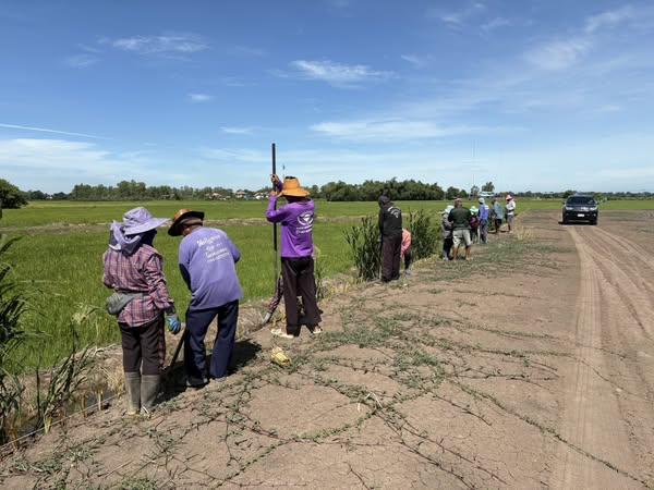 ภาพประกอบที่ 3