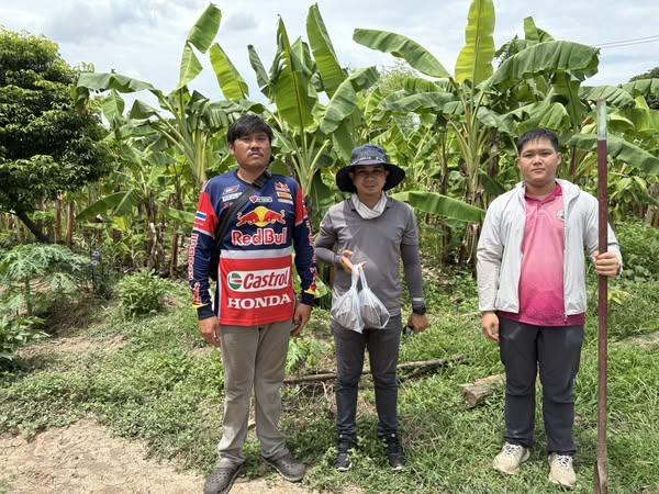 ภาพประกอบที่ 1