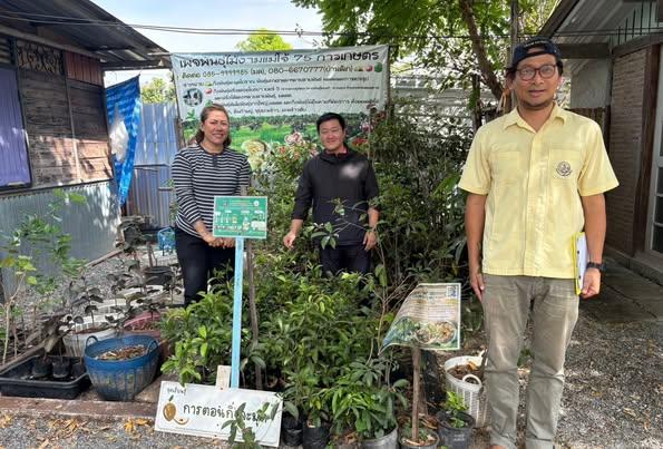 ภาพประกอบที่ 3