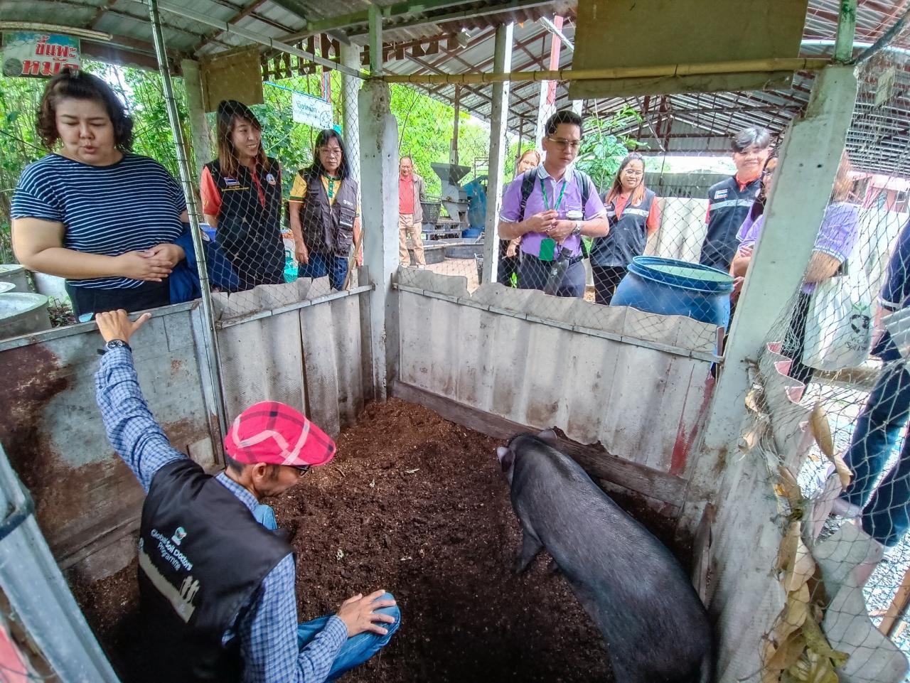 ภาพประกอบที่ 0