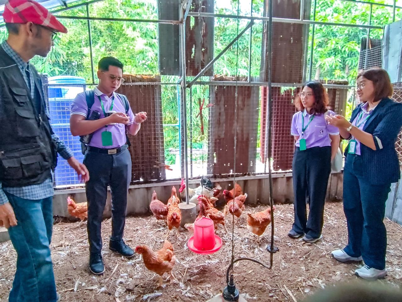 ภาพประกอบที่ 13