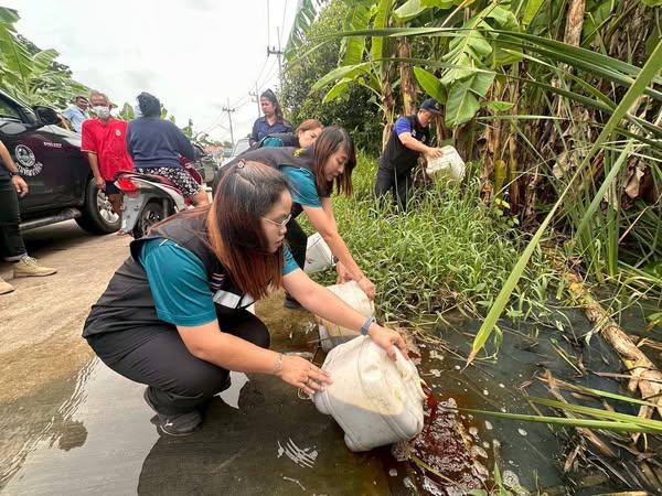 ภาพประกอบที่ 0