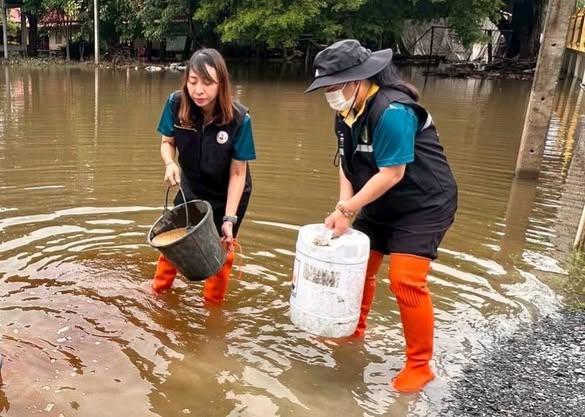 ภาพประกอบที่ 2