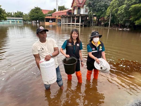 ภาพประกอบที่ 3