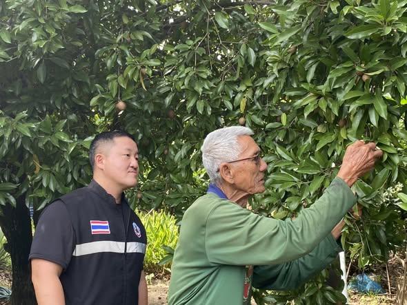 ภาพประกอบที่ 1