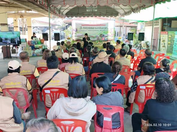 ภาพประกอบที่ 10