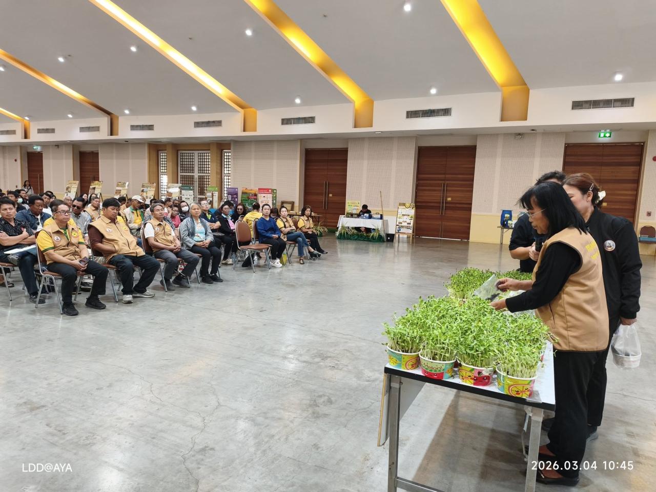 ภาพประกอบที่ 23