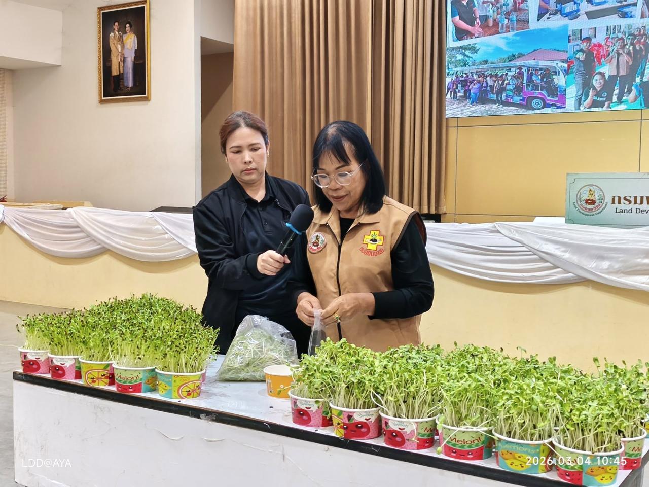 ภาพประกอบที่ 24