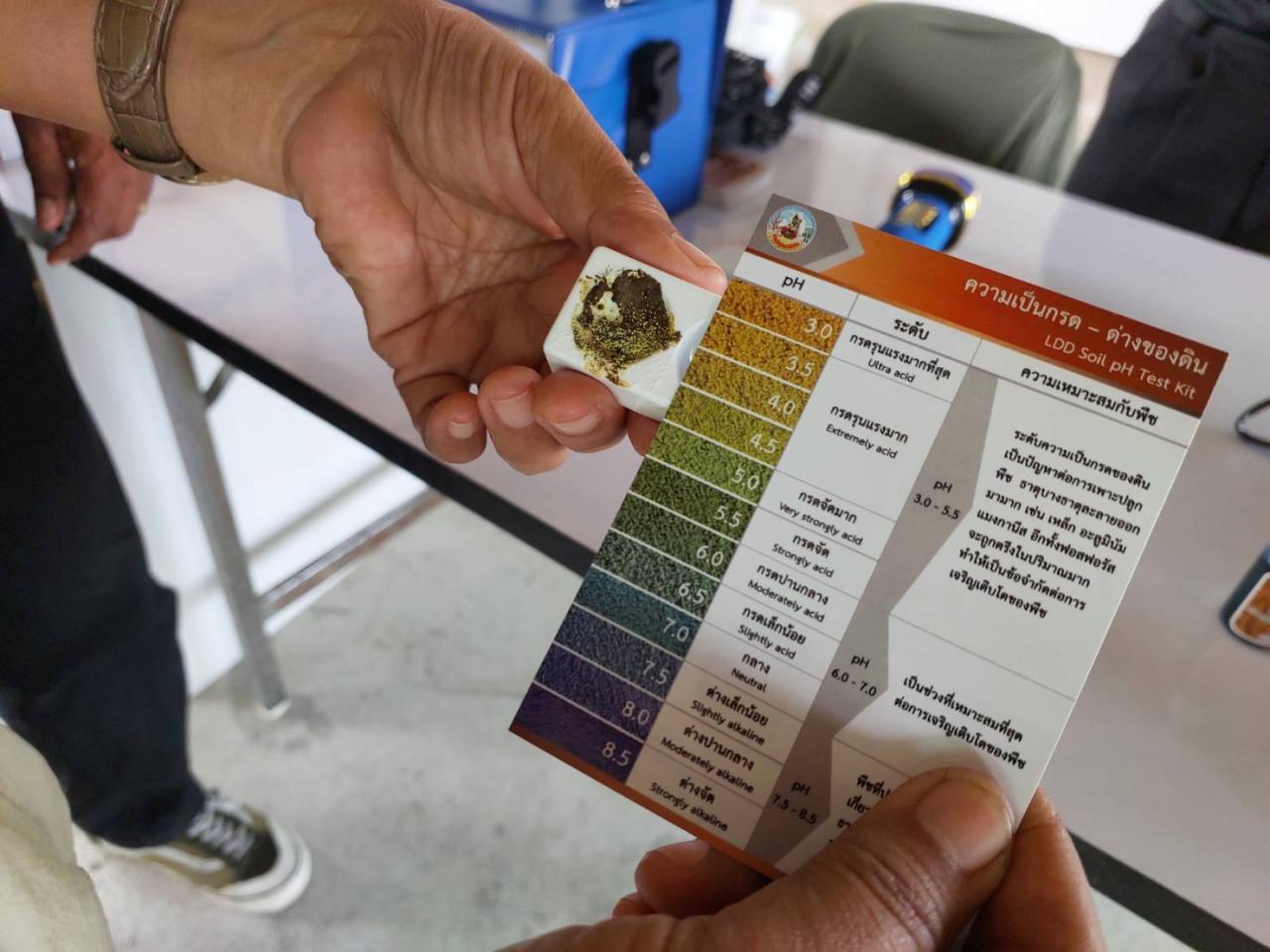 ภาพประกอบที่ 8