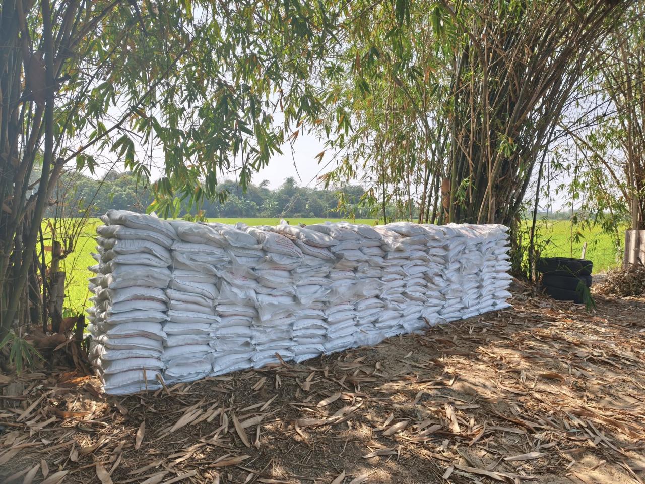 ภาพประกอบที่ 1