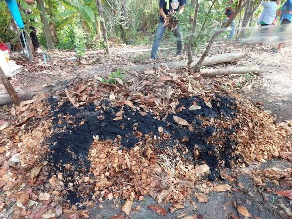 ภาพประกอบที่ 5