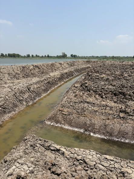 ภาพประกอบที่ 7