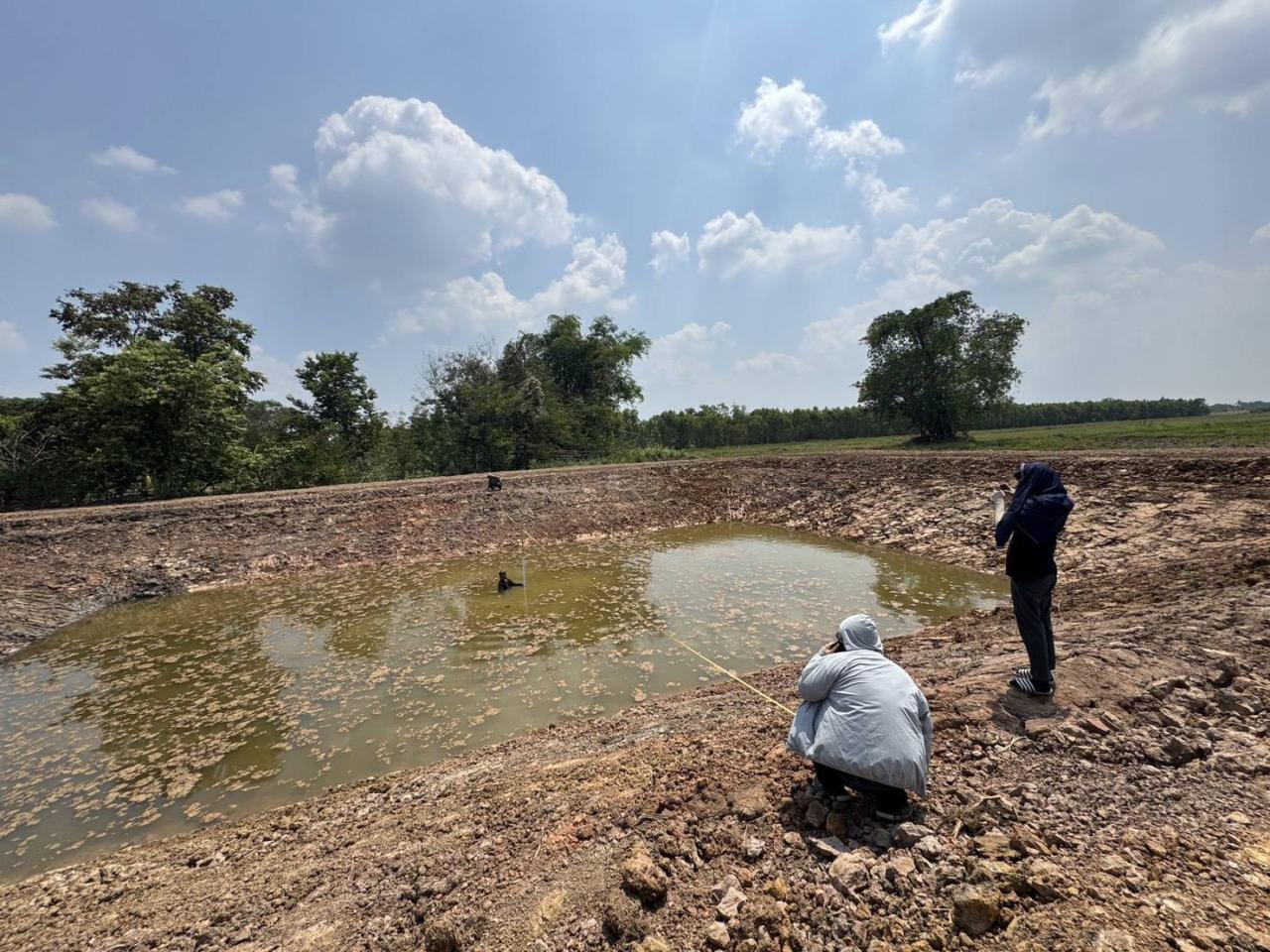 ภาพประกอบที่ 0