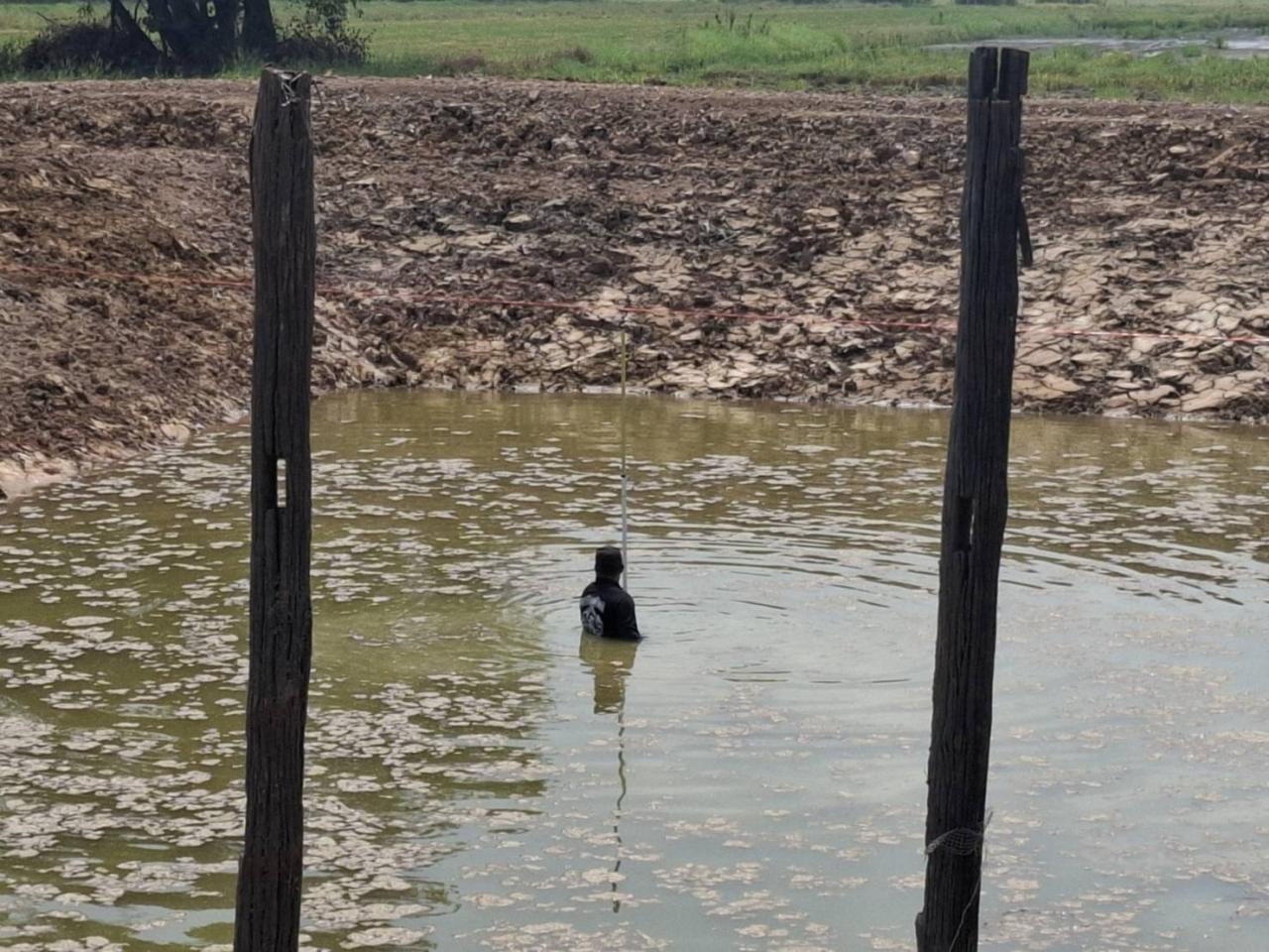 ภาพประกอบที่ 2