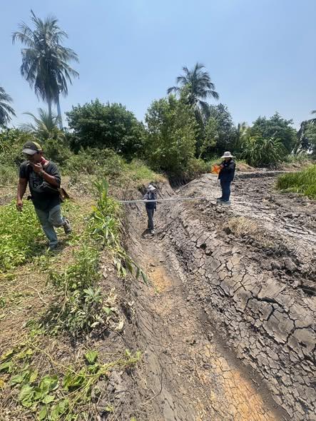 ภาพประกอบที่ 5