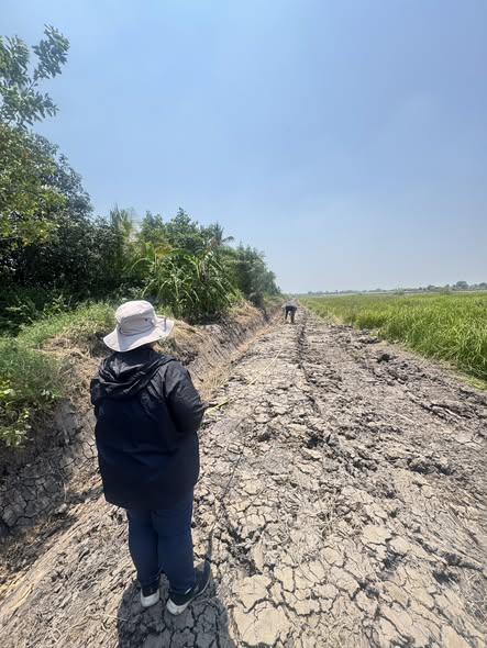 ภาพประกอบที่ 7