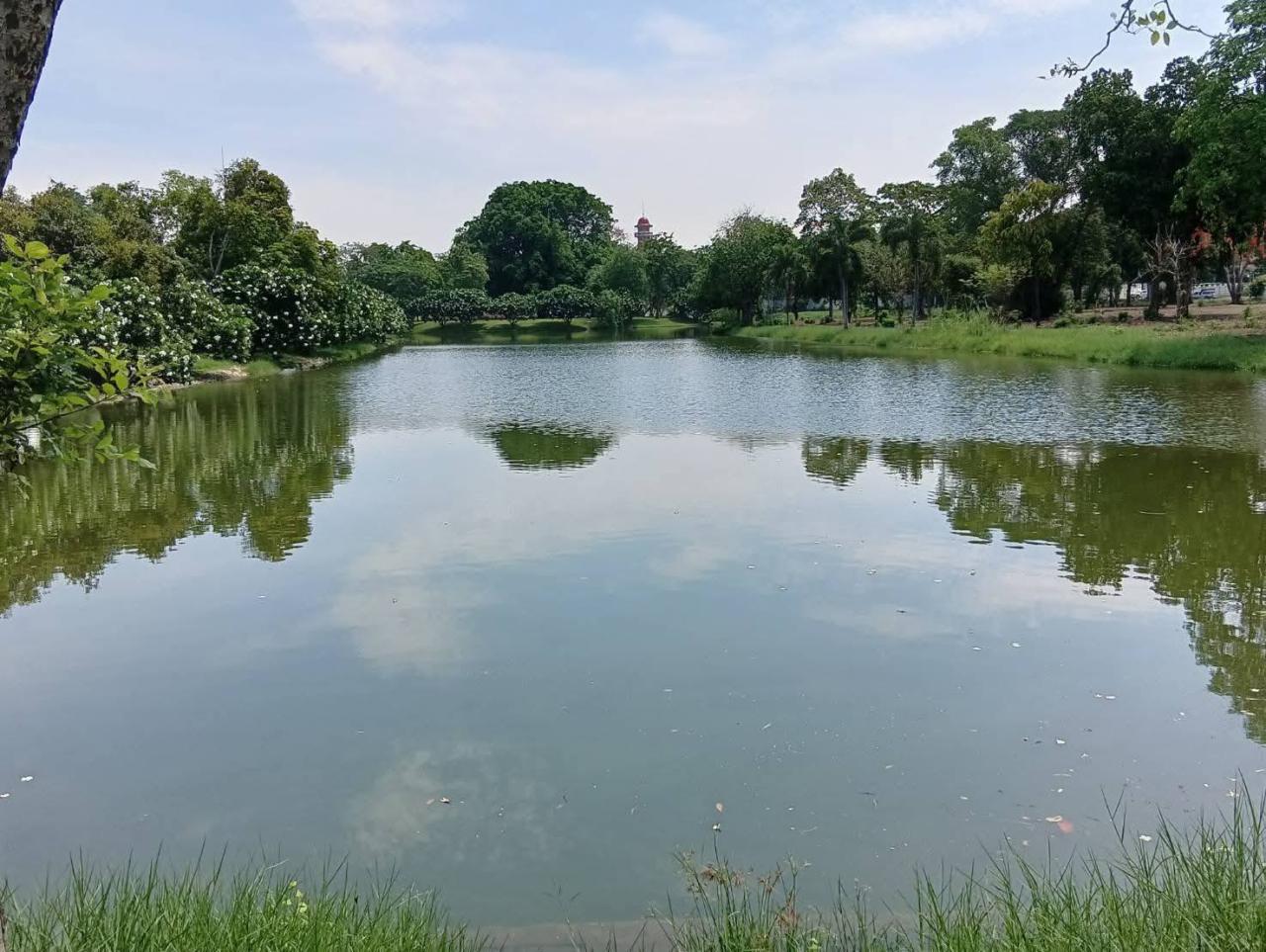 ภาพประกอบที่ 0
