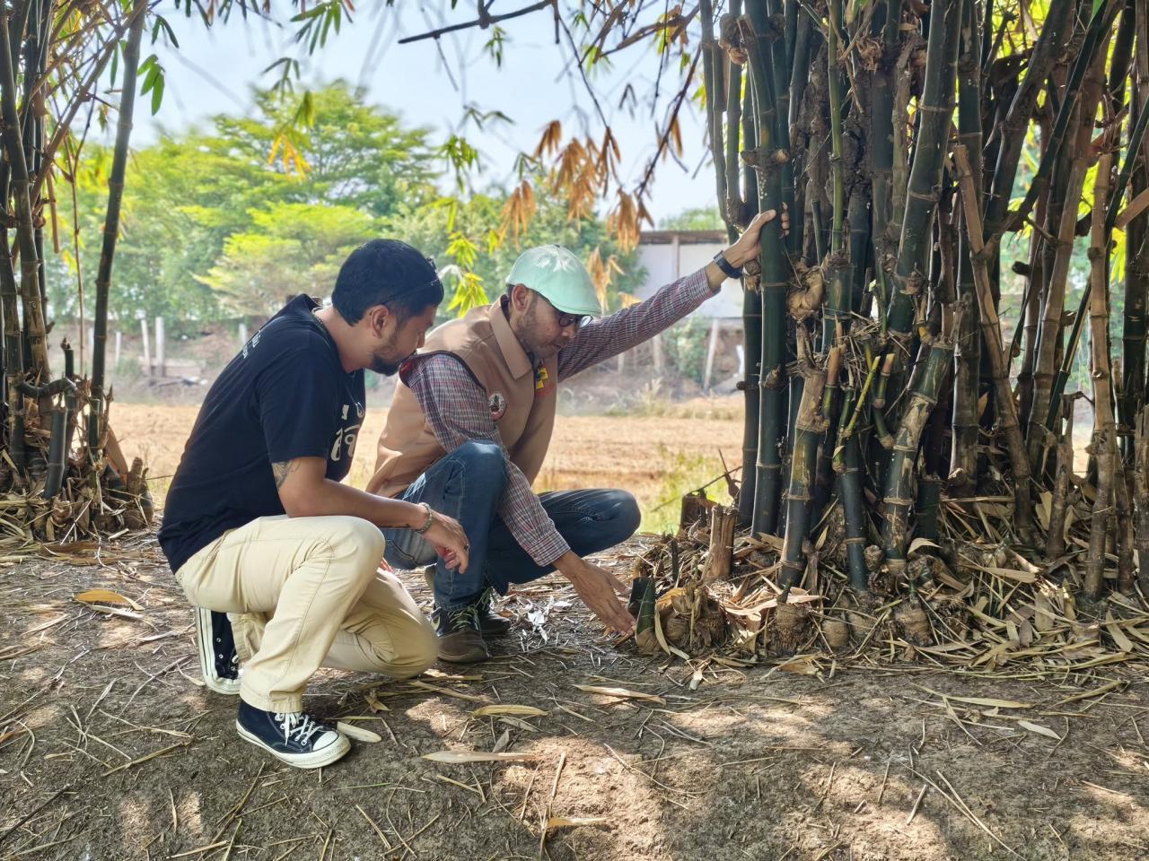 ภาพประกอบที่ 1