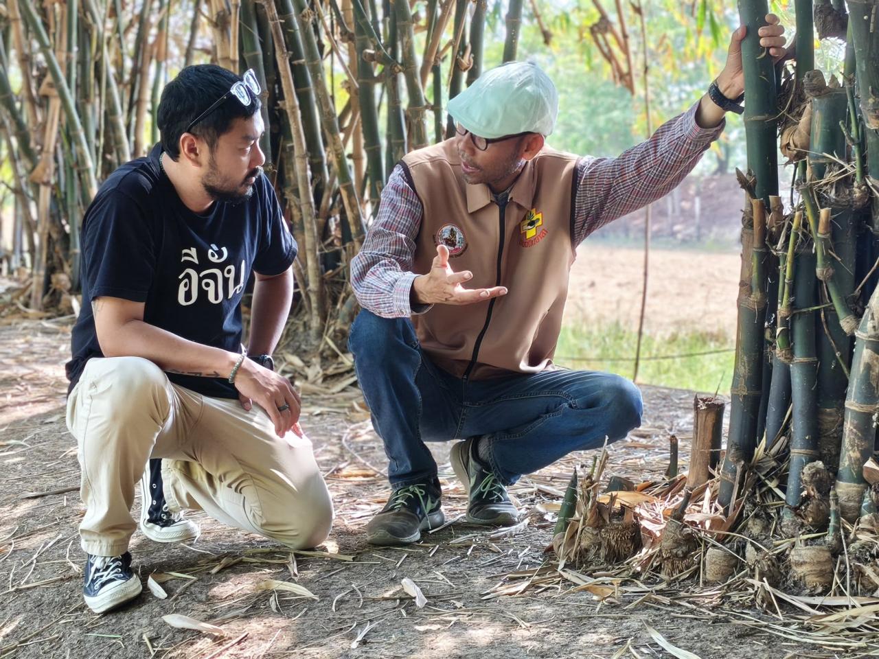 ภาพประกอบที่ 2