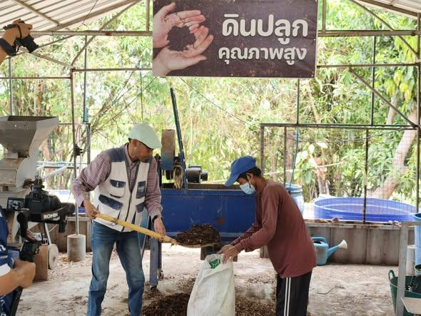 ภาพประกอบที่ 11