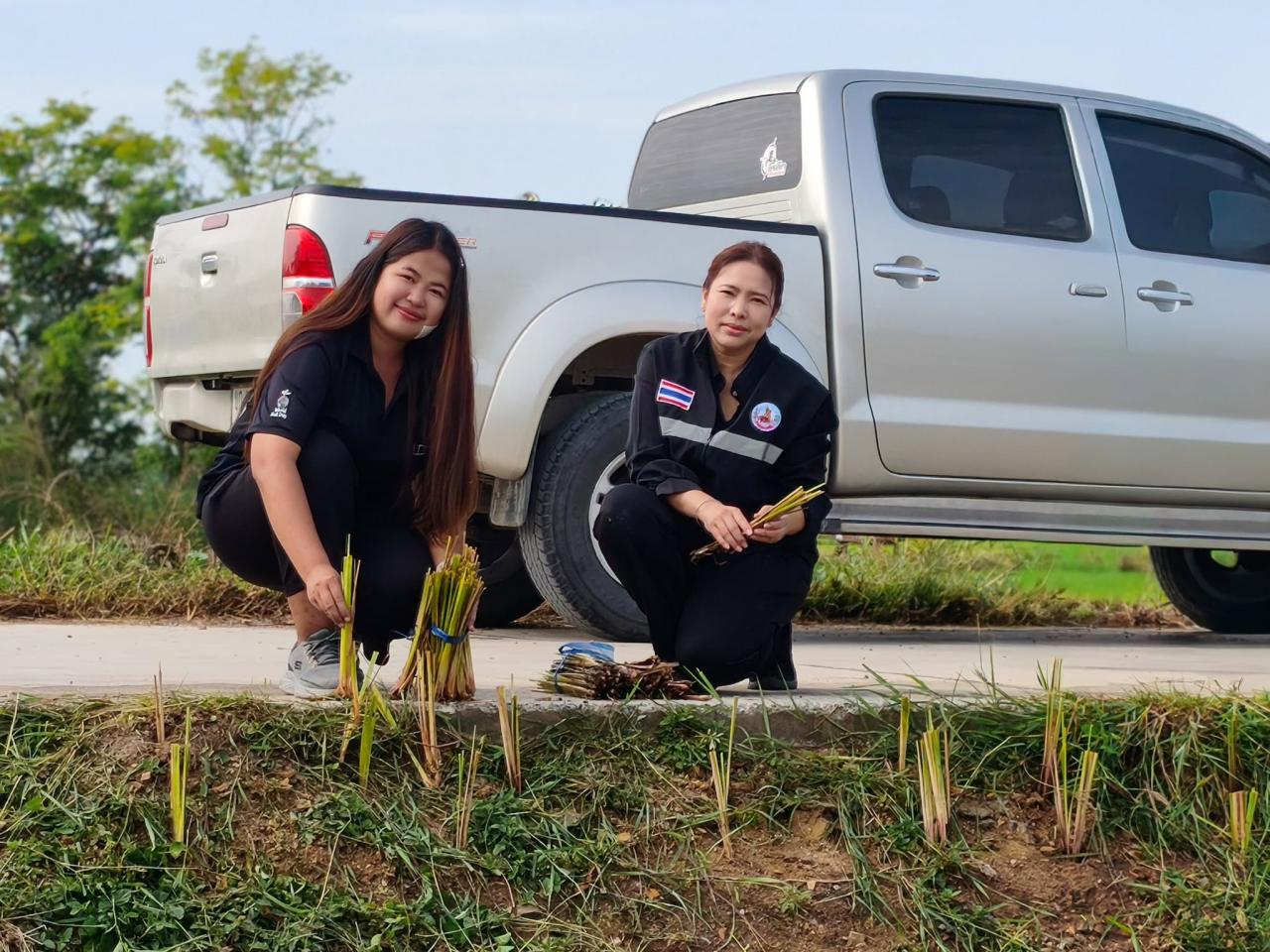 ภาพประกอบที่ 1