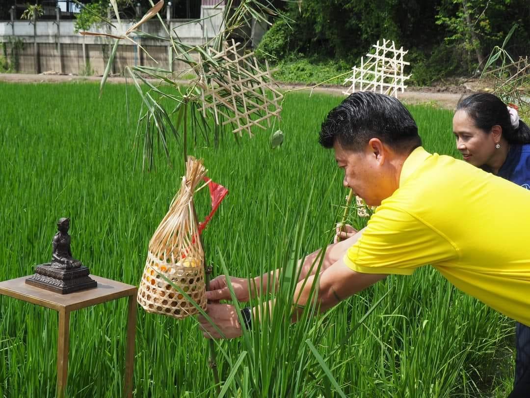 ภาพประกอบที่ 5