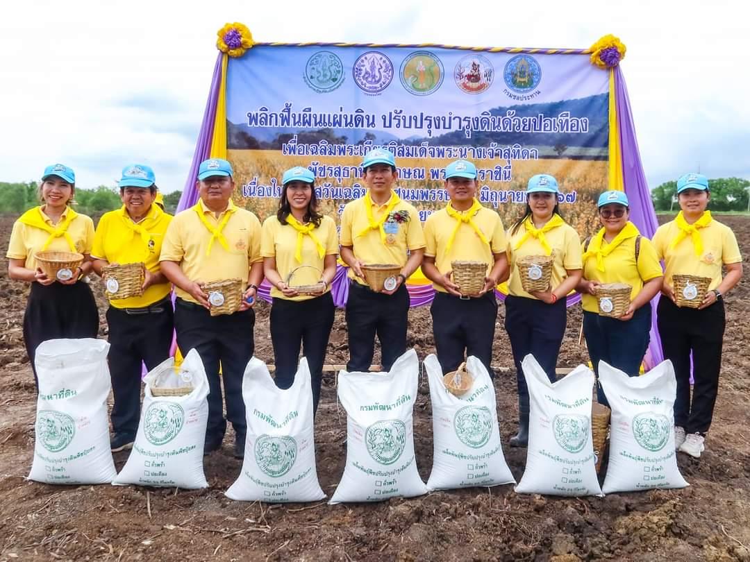 ภาพประกอบที่ 10