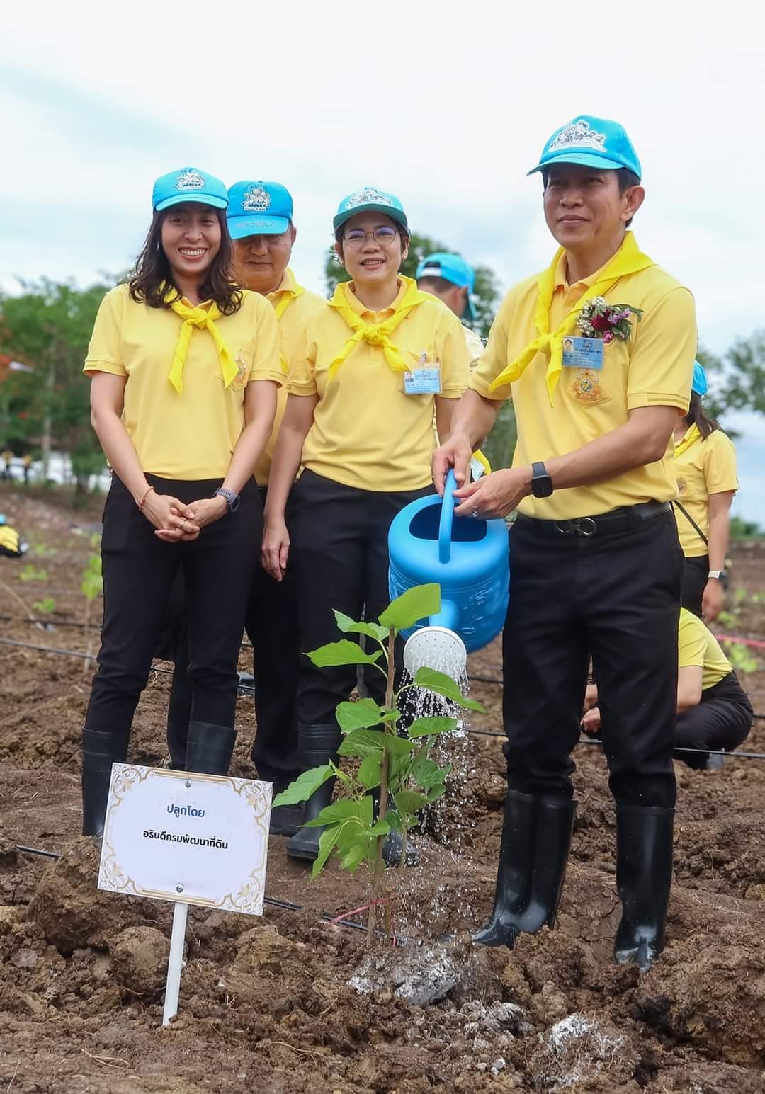 ภาพประกอบที่ 8