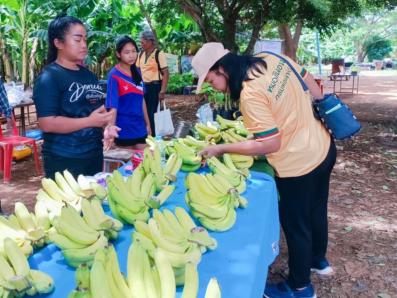 ภาพประกอบที่ 12