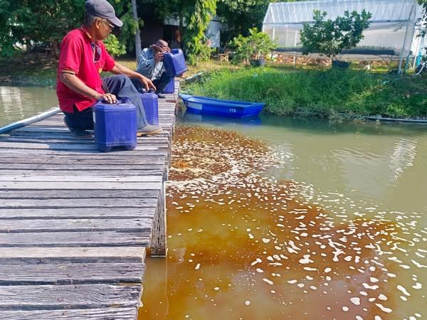 ภาพประกอบที่ 1
