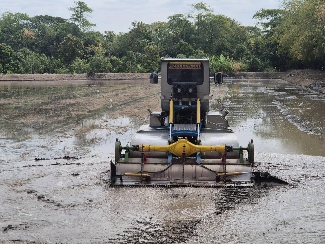 ภาพประกอบที่ 4