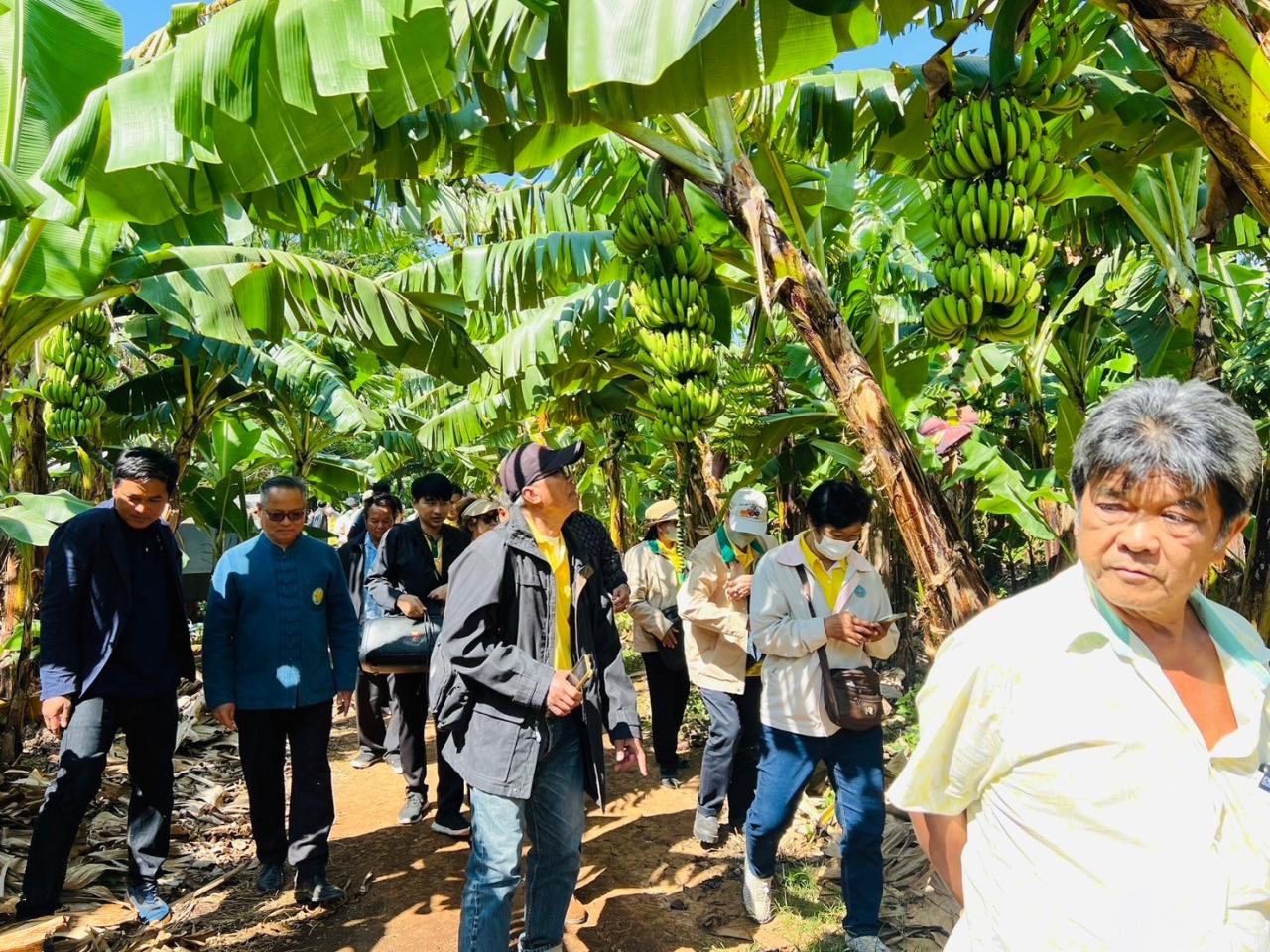 ภาพประกอบที่ 2