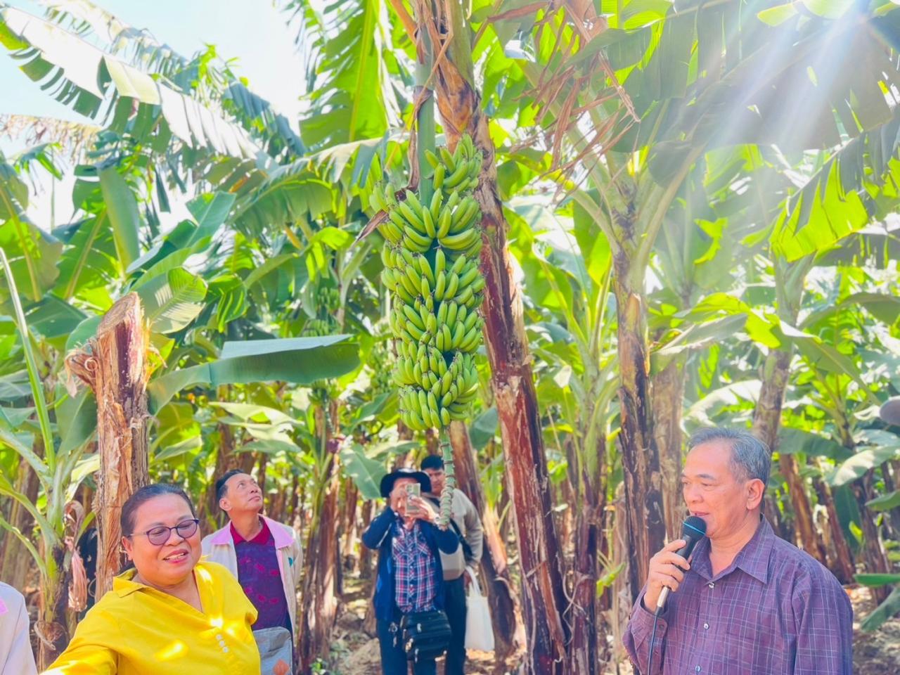 ภาพประกอบที่ 3