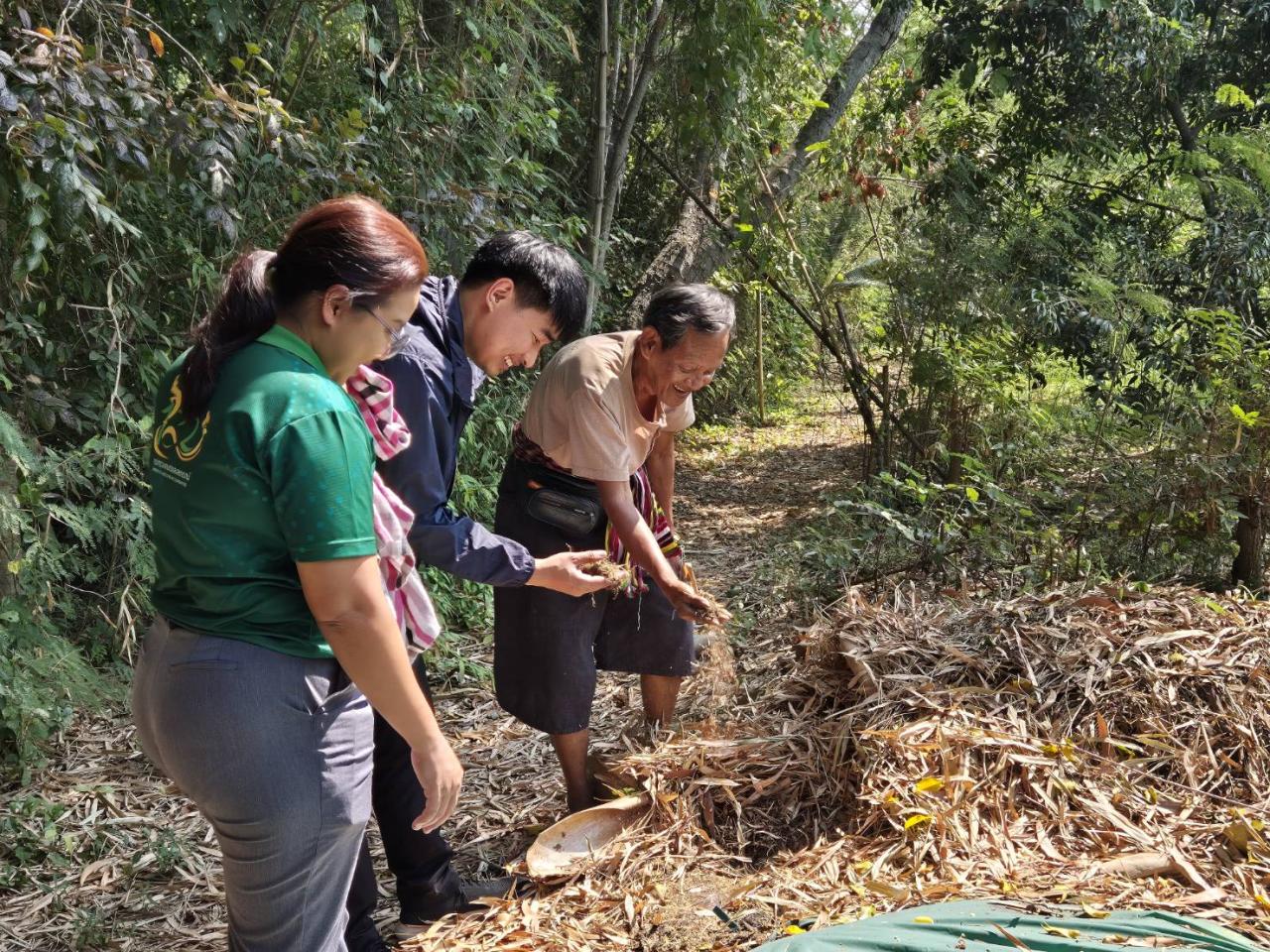 ภาพประกอบที่ 1