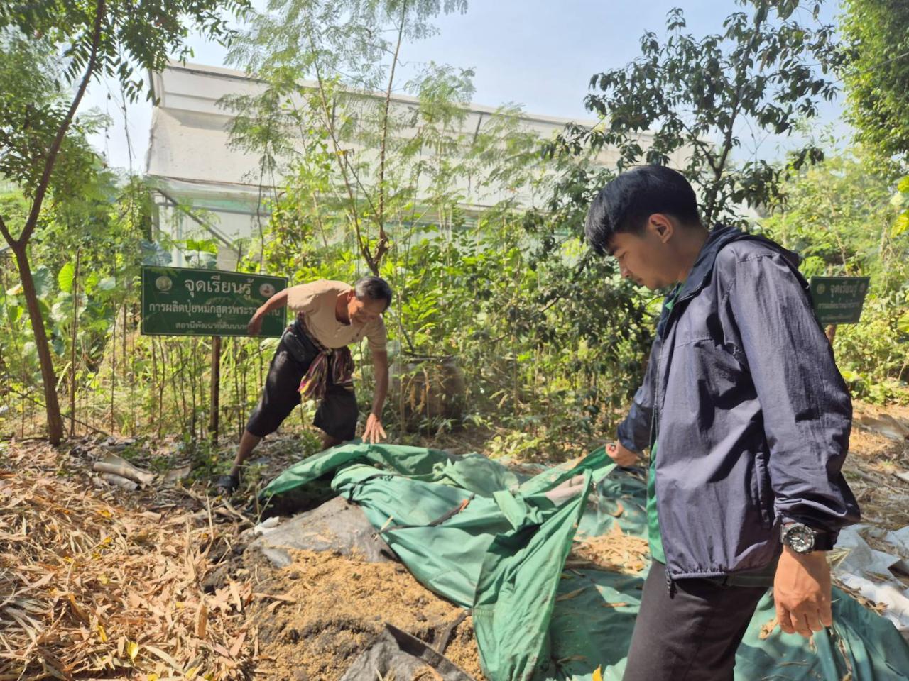 ภาพประกอบที่ 2