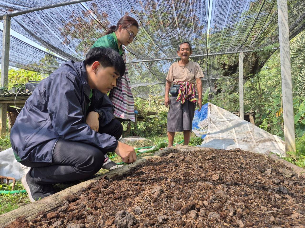 ภาพประกอบที่ 4