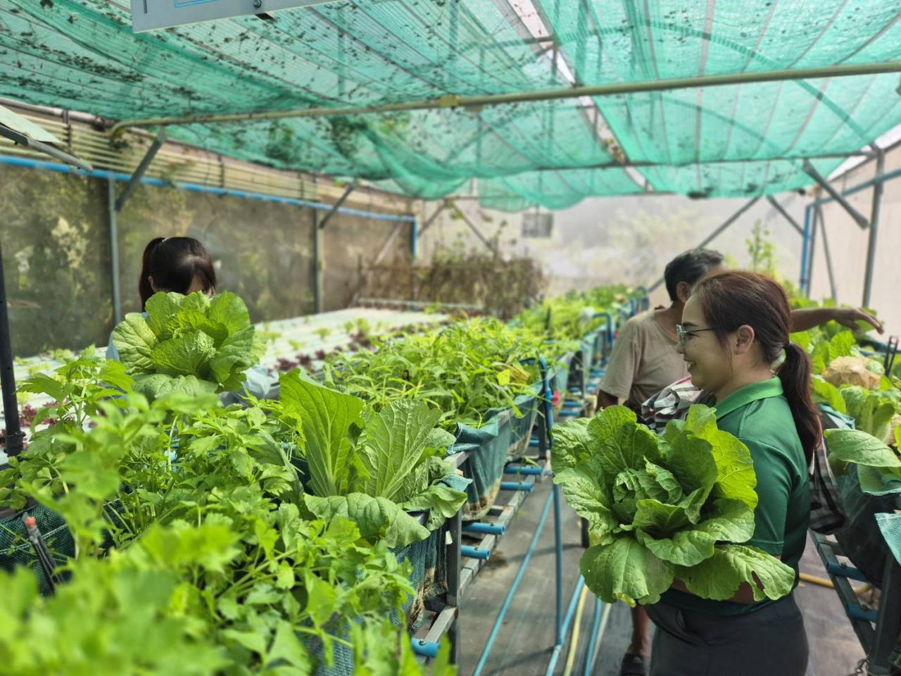 ภาพประกอบที่ 5