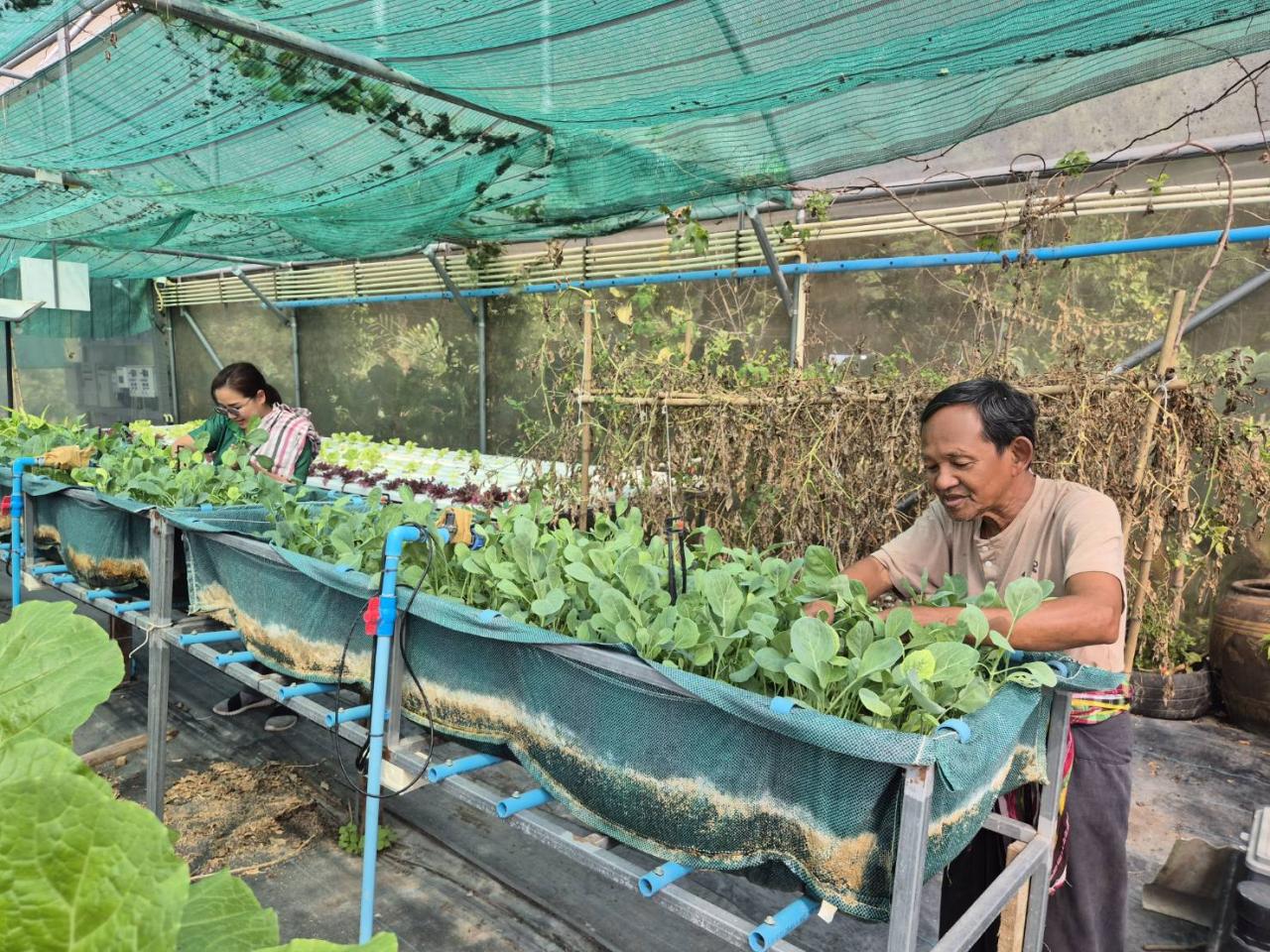 ภาพประกอบที่ 6